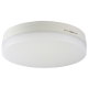 LEDミニシーリングライト 60形相当 電球色 [品番]06-1913