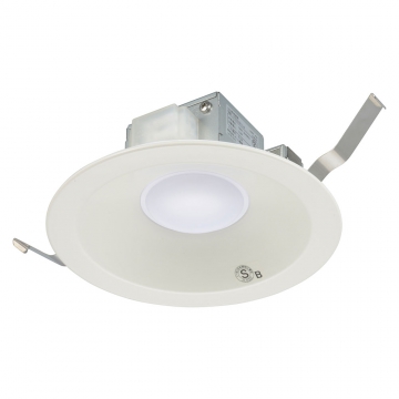 LEDダウンライト 100形相当 昼白色相当 5000K [品番]06-5136