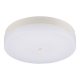 センサー付ミニLEDシーリングライト 100形 1520ルーメン 昼光色 [品番]06-5636
